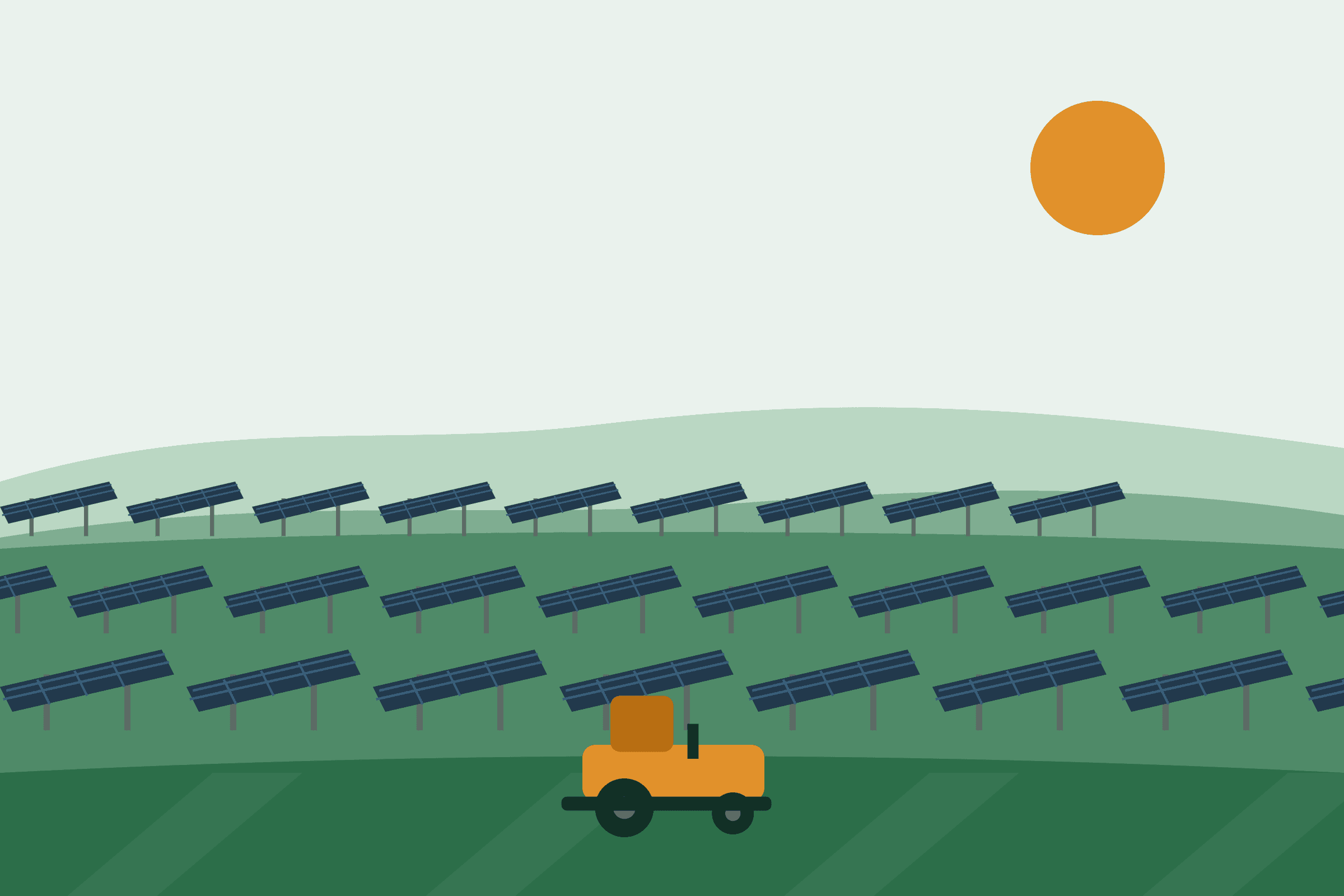 Grass being maintained between rows of ground-mounted solar panels